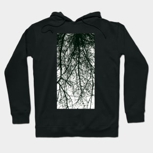 Under the Trees Cont'd Hoodie